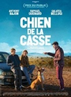 Chien de la casse