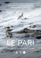 Le pari